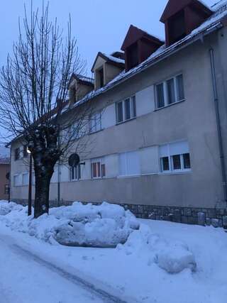 Апартаменты Vujisić Apartment in the City Center Колашин Апартаменты-14