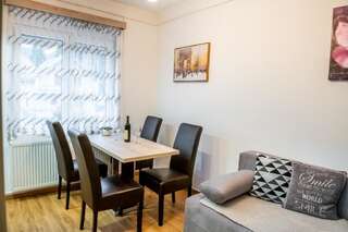 Апартаменты Vujisić Apartment in the City Center Колашин Апартаменты-24