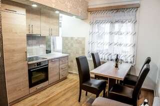 Апартаменты Vujisić Apartment in the City Center Колашин Апартаменты-8